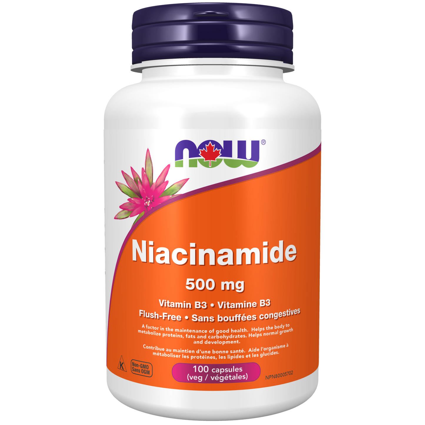 Niacinamide 500 mg Veg Capsules