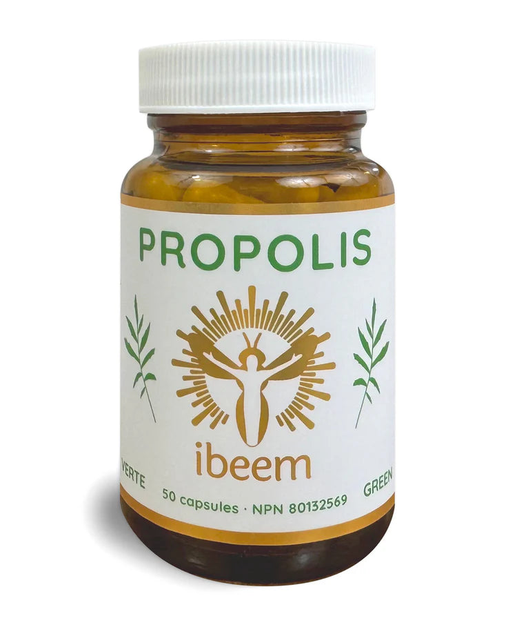 iBeeM green propolis capsules bottle with 50 capsules for immune system support