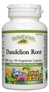 Dandelion Root