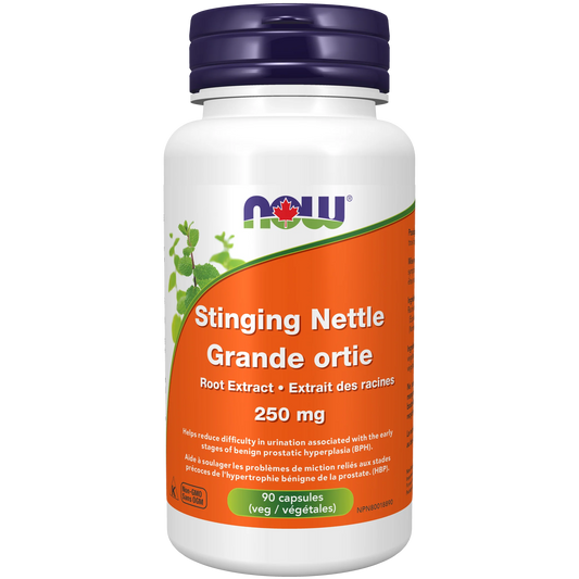 NOW Stinging Nettle Root Extract 250 mg bottle with 90 vegetarian capsules for prostate and urinary support