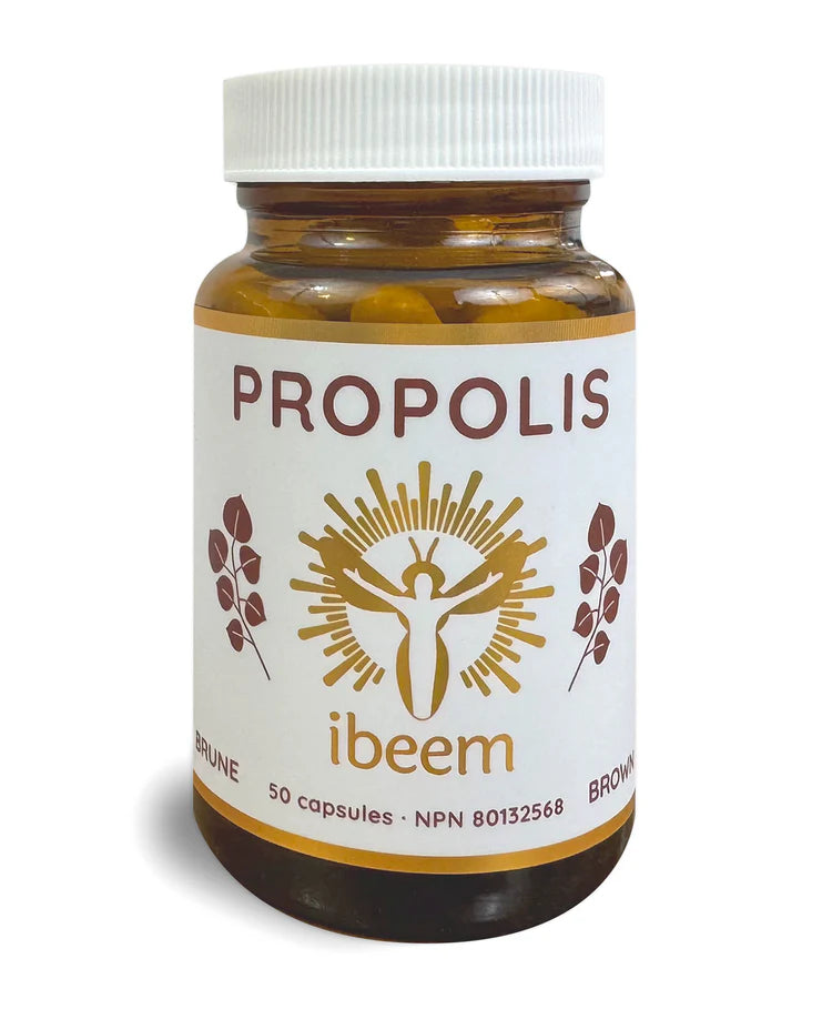 iBeeM propolis brown capsules bottle with 50 capsules for natural immune support