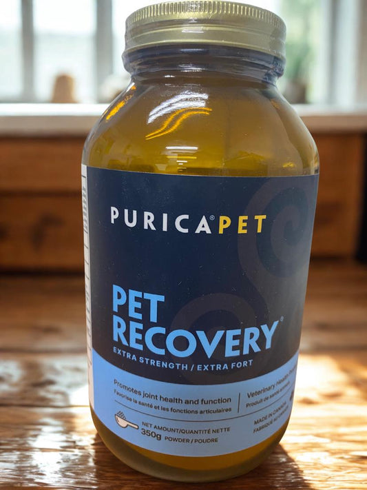 Purica Pet Recovery Extra Strength joint health powder for pets 350 g